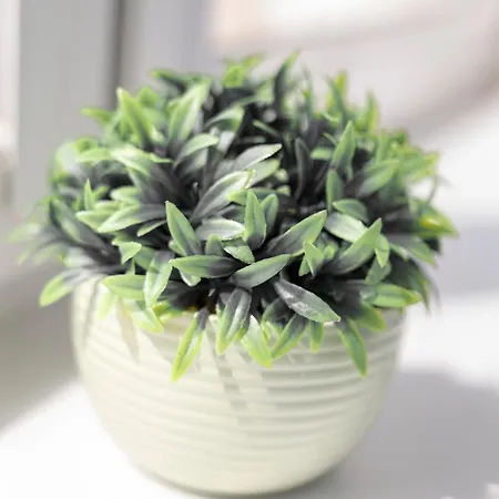 - Old Town - Swidnicka Street